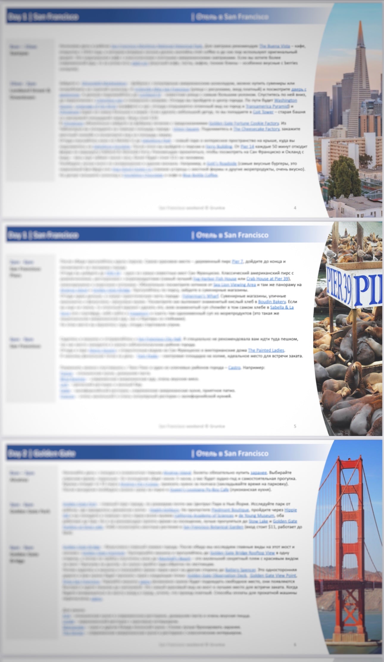 USA - San Francisco - 3 days (RU)