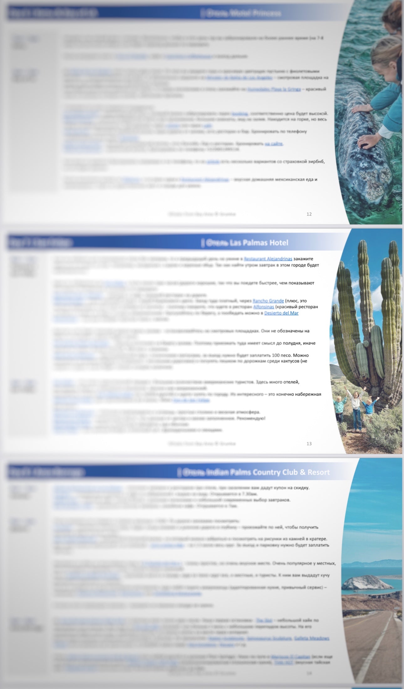 Mexico - Whales from Bay Area - 9 days (RU)