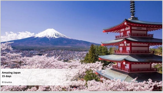 Amazing Japan - 15 days (RU)