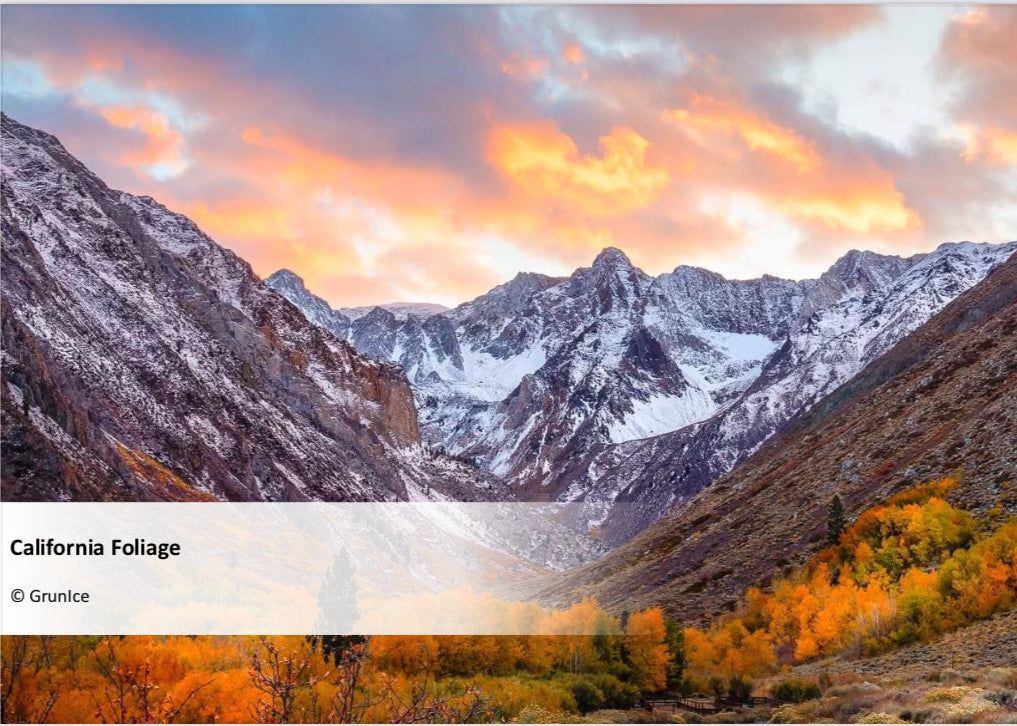 USA - California Foliage - 3 days (RU)