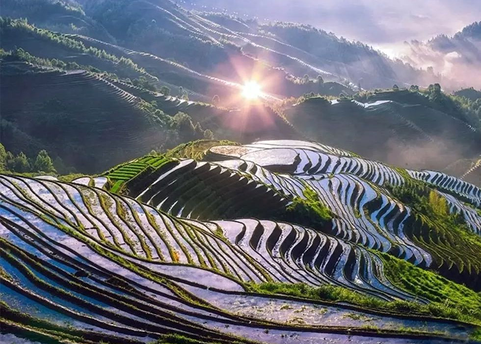 The Longji rice terraces near Guilin